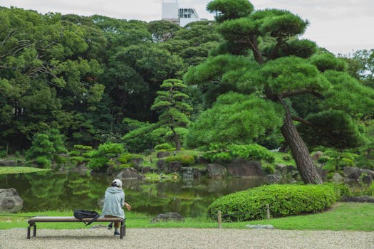Discover Zen Gardens at These Tranquil Hotels