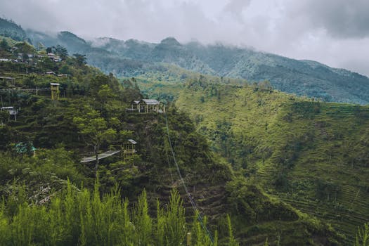 From Jungle Lodges to Cliffside Palaces: Best Stays in 2025