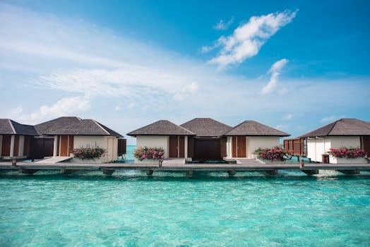 Unwind in Nature: Top Eco-Luxury Hotels of the Year